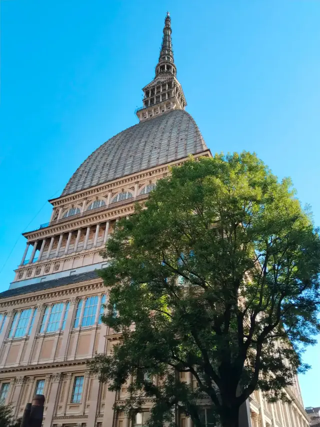 Mole Antonelliana’ya bir ağacın yanından aşağıdan bakış